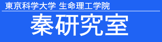 東京科学大学 秦研究室